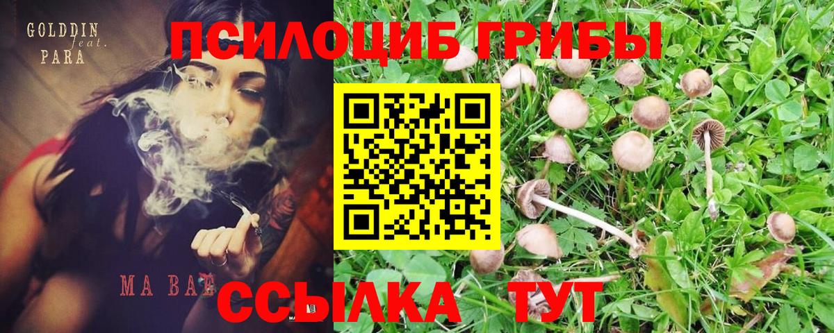 Псилоцибиновые грибы ЛСД Югорск