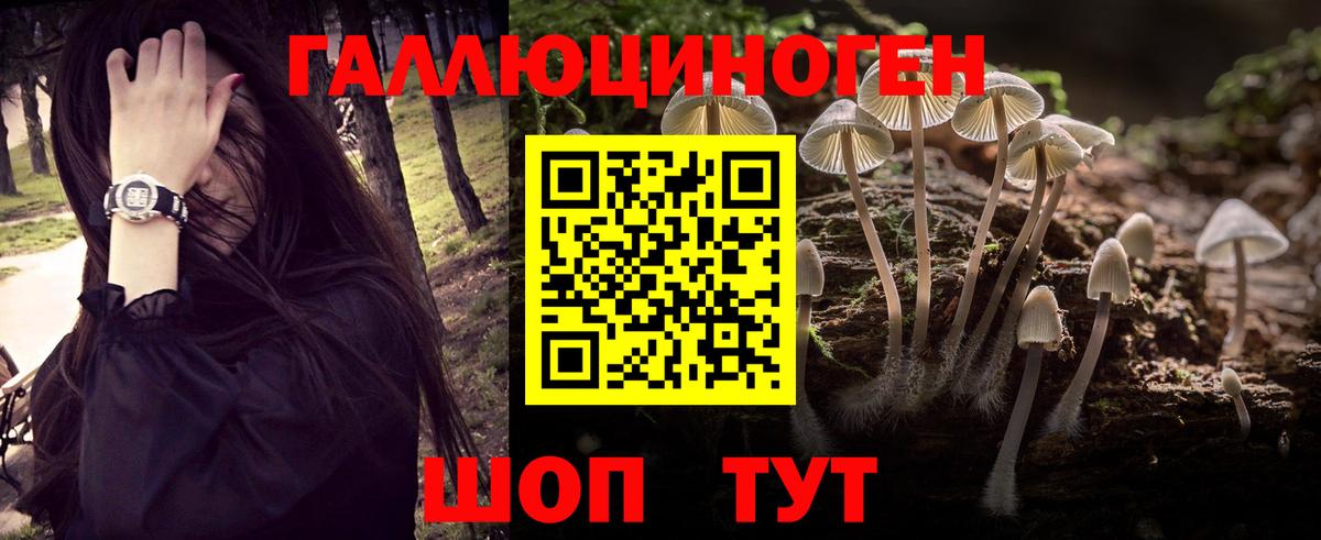 Псилоцибиновые грибы прущие грибы  что такое наркотик  Югорск  Вход с VPN 